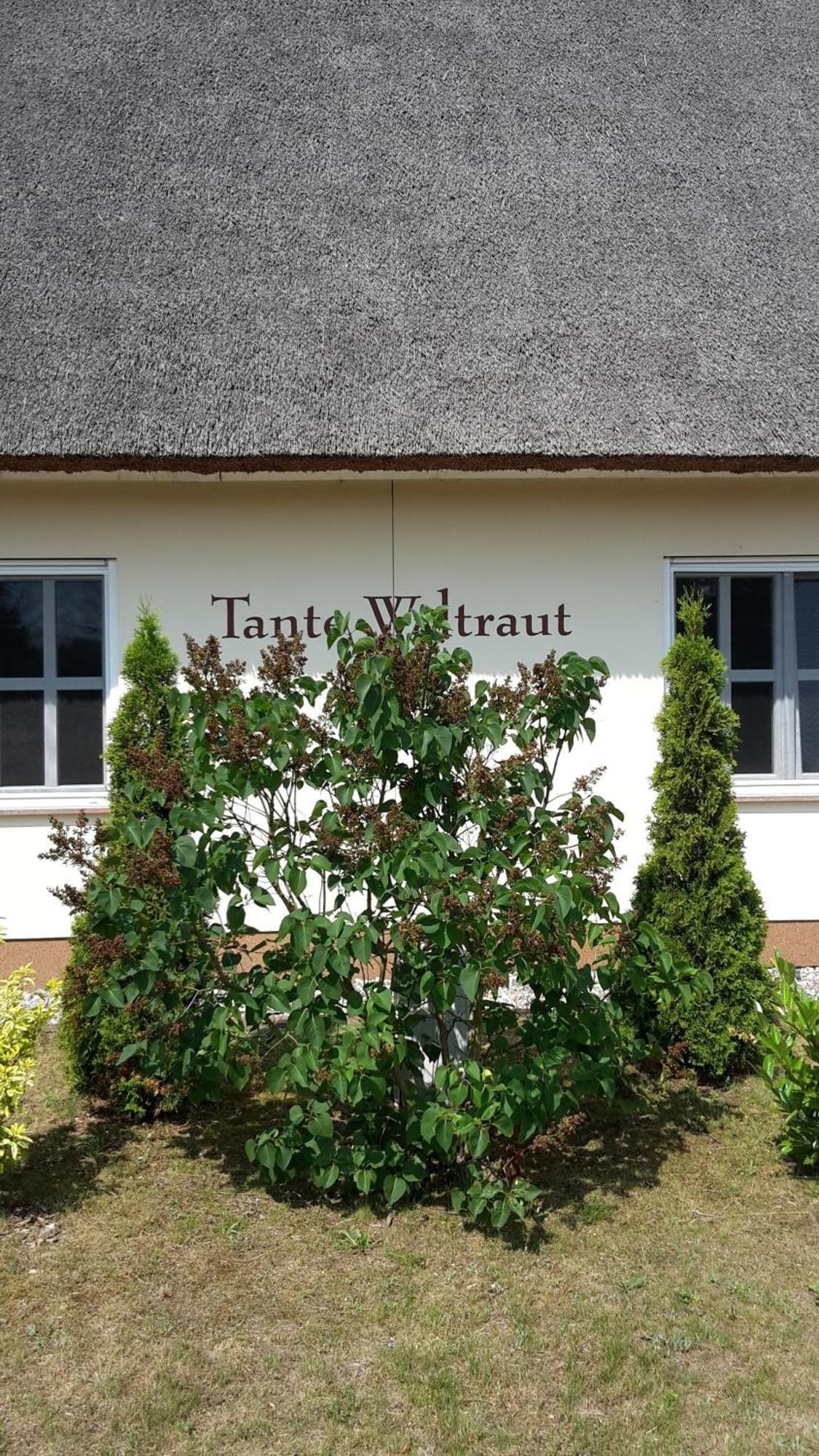 Haeuschen "Tante Waltraut" Villa Garz  Eksteriør bilde
